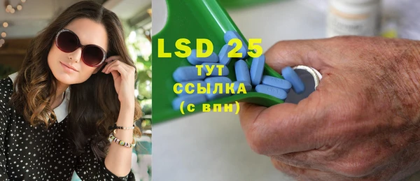 ГАЛЛЮЦИНОГЕННЫЕ ГРИБЫ Няндома