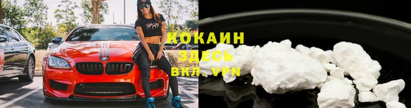 таблы Новозыбков