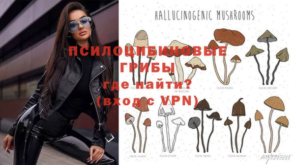 ГАЛЛЮЦИНОГЕННЫЕ ГРИБЫ Няндома