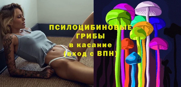 ГАЛЛЮЦИНОГЕННЫЕ ГРИБЫ Няндома