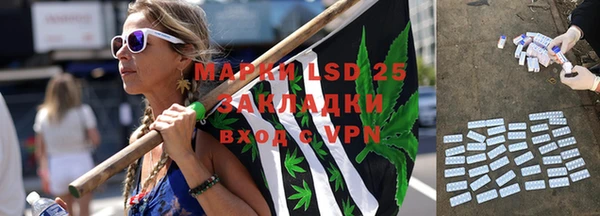 ГАЛЛЮЦИНОГЕННЫЕ ГРИБЫ Няндома